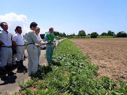 冠水した農地の状況確認(内灘町)