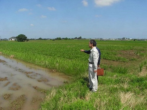 はとむぎの被災状況確認(富山県上市町)