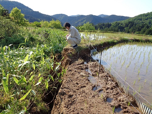 農地法面の崩落（輪島市）