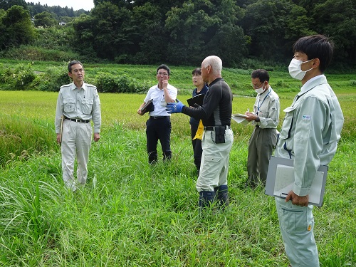 農家から収量・品質の影響を聞き取り