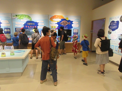 ゲームやクイズで魚のことを楽しく学ぶ