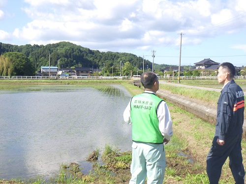 農業用パイプラインの応急復旧を経て田植えが行われた水田(氷見市 上庄地区)