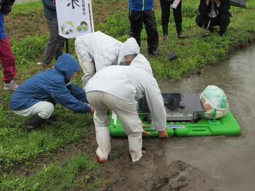 アイガモロボットを水田に着水させる様子