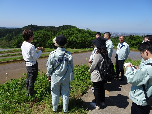 里山での有機農業の圃場（有限会社土遊野）