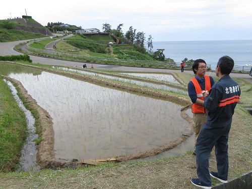 田植え後の状況（輪島市 白米地区）