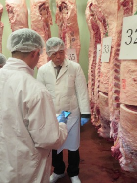 肉牛枝肉の視察の様子