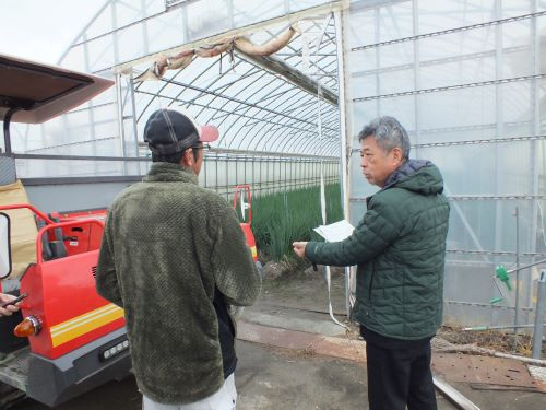 有限会社林農産 ねぎの栽培ハウス視察の様子