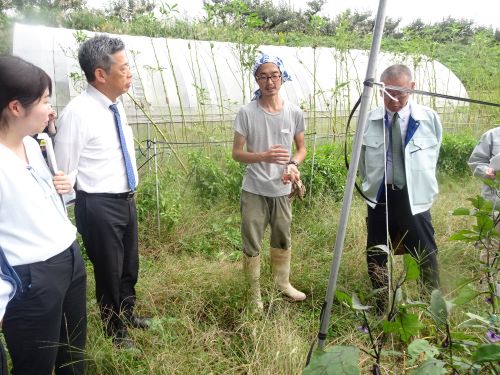 日鷲農場 自家製たい肥製造について調査