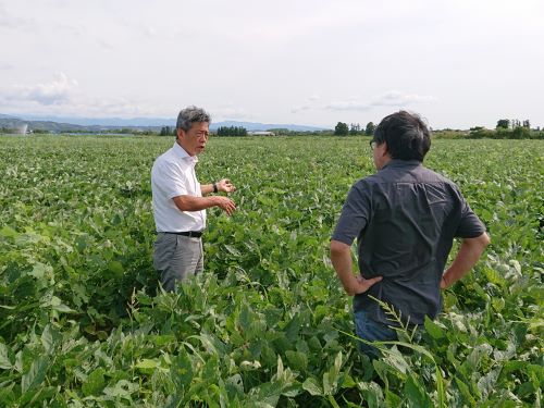 有機大豆作ほ場の生育状況を確認する郡局次長（写真左）