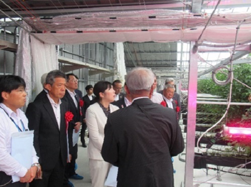 トマト栽培ハウス(株式会社無限大)