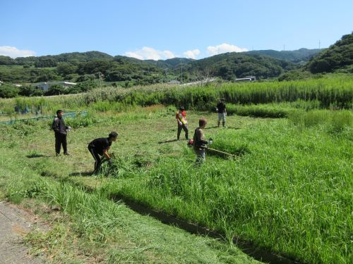 耕作放棄地の草刈り