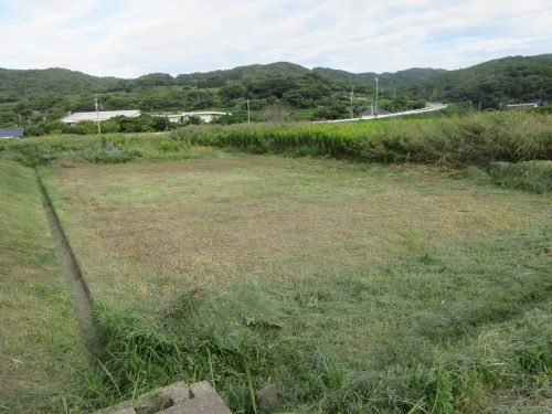 草刈り後の耕作放棄地
