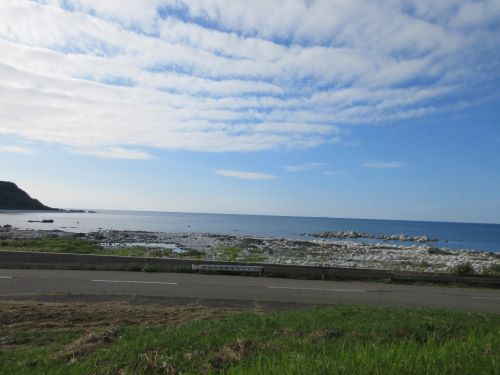 地震により隆起した七浦地区の海岸