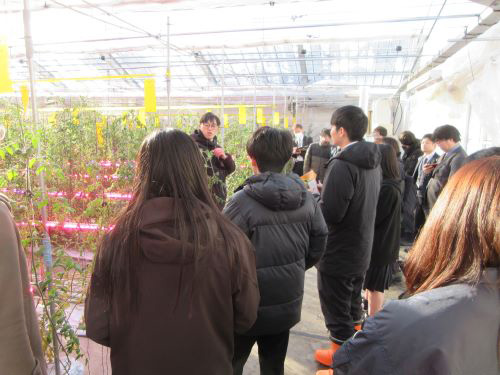 廃棄物処理によるエネルギーを活用したほ場（株式会社 富山環境整備）