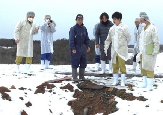 牧草地の被害(能登町)