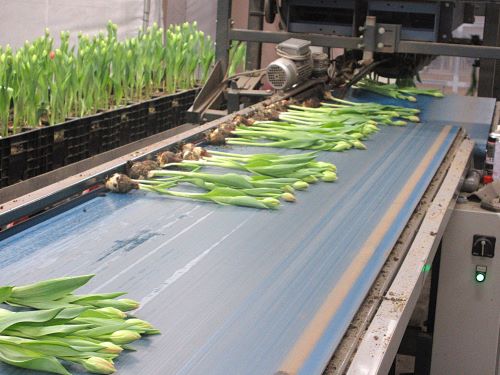 導入されている最新設備