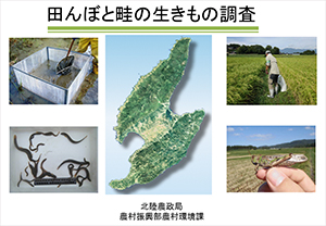 田んぼと畦の生き物調査