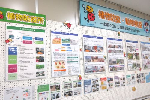 消費者の部屋の画像