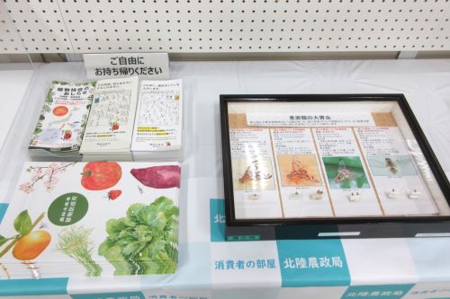 消費者の部屋の画像