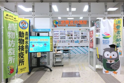 消費者の部屋の画像