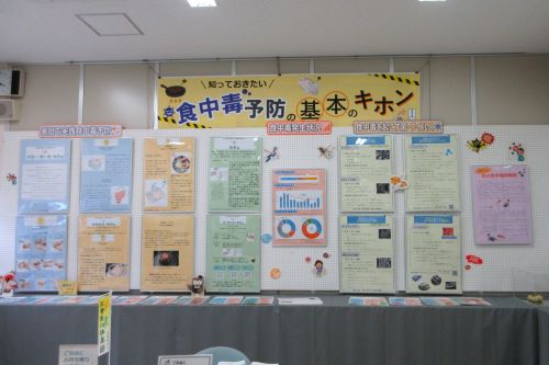展示内容