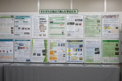 展示物