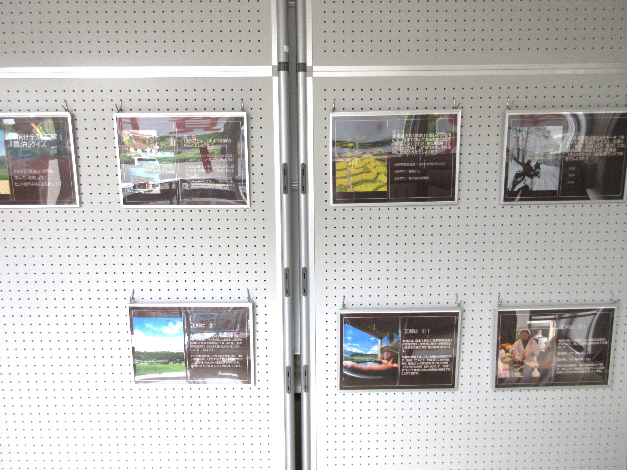 展示物