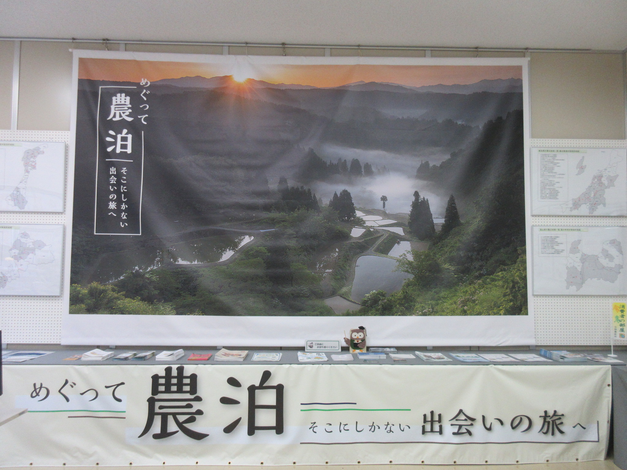 めぐって農泊