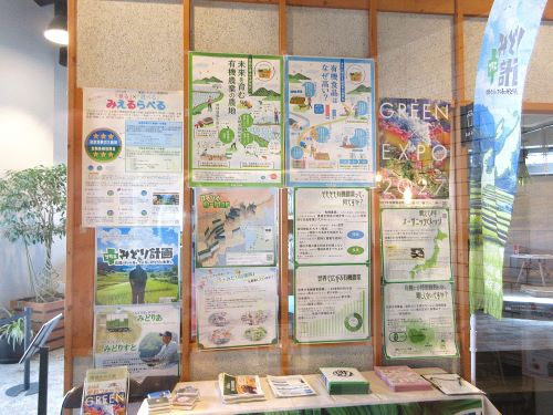 展示物