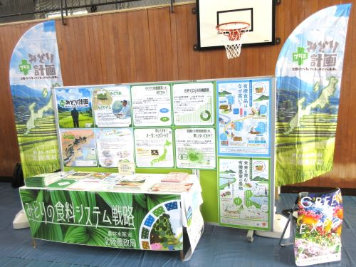 展示物