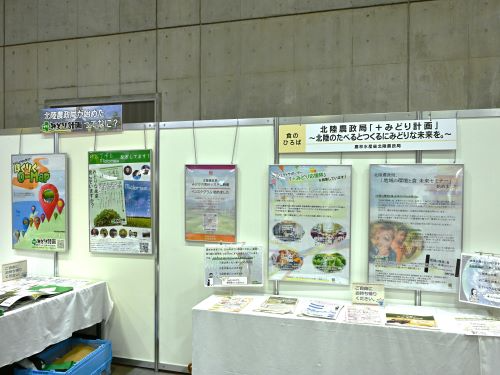 展示物