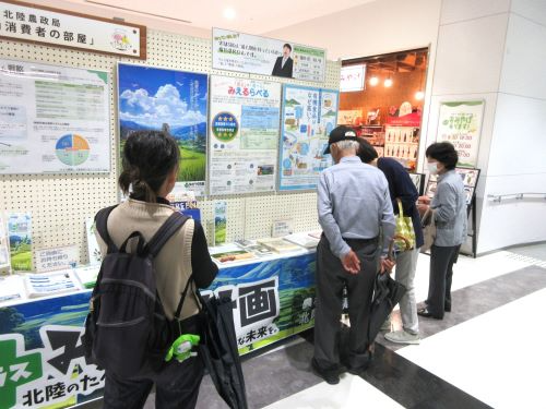 展示物を見る人たち