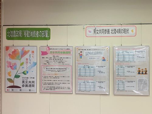 展示物
