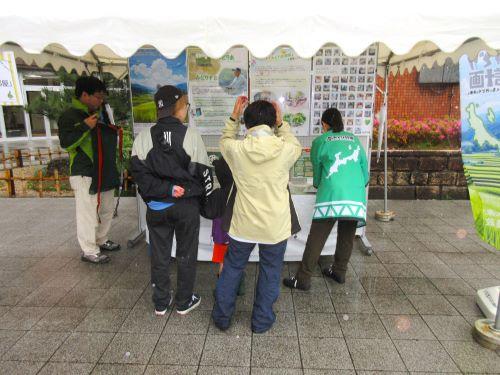 展示物を見る人たち