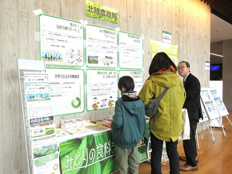 展示物を見る人たち