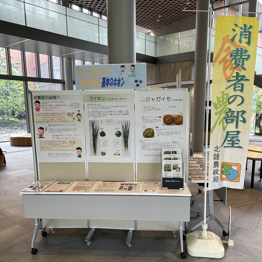 展示ブース