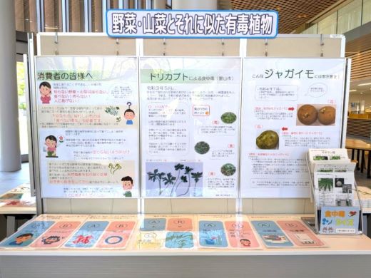 食中毒予防の展示物