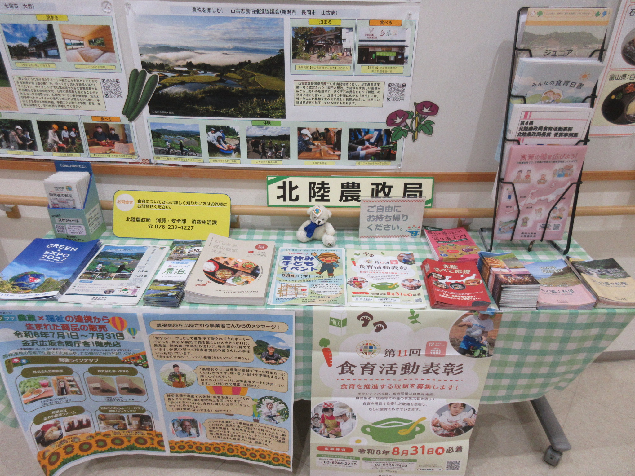 展示物