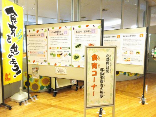 食育の展示物