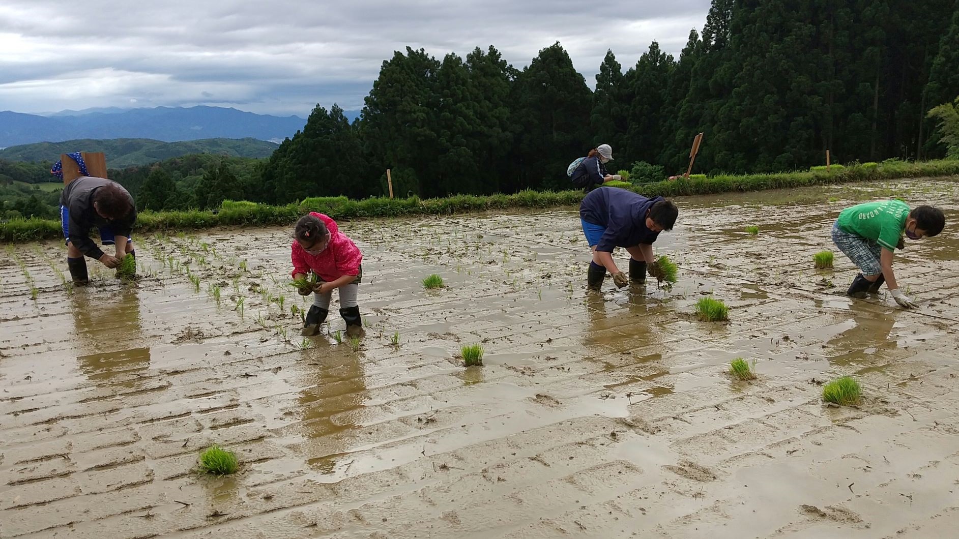 高須城山・農と人の会