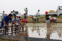 田植えから稲刈りまでを体験！