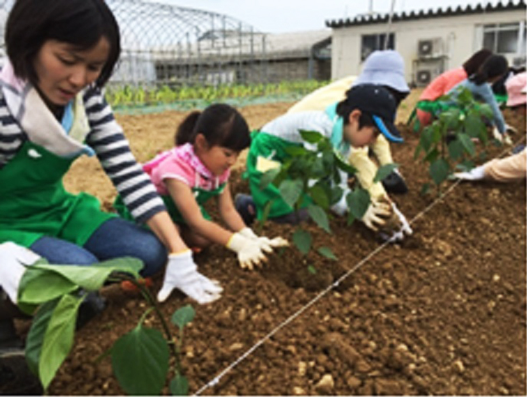 金沢おやこ農業塾