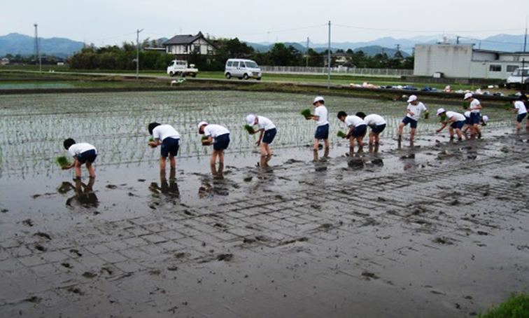 食のサイクルの一環である 農作業体験！