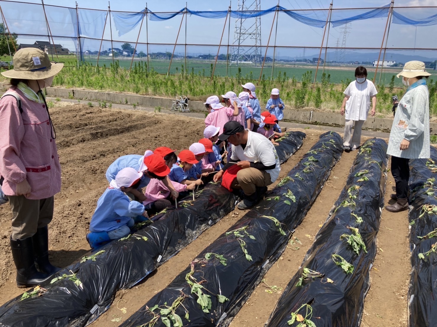 アグリピア高岡 農業体験の様子