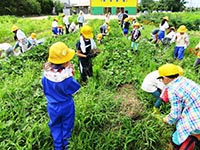 滑川市『地産地消推進事業』