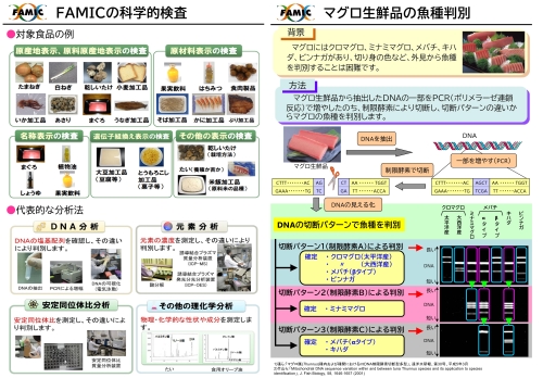 講座背使用した資料（FAMIC）