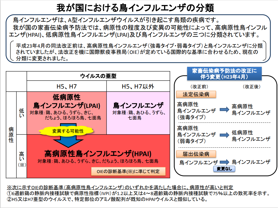鳥インフルエンザの分類