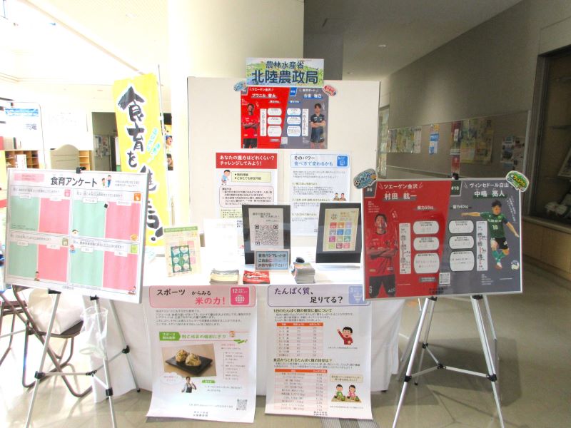 展示内容