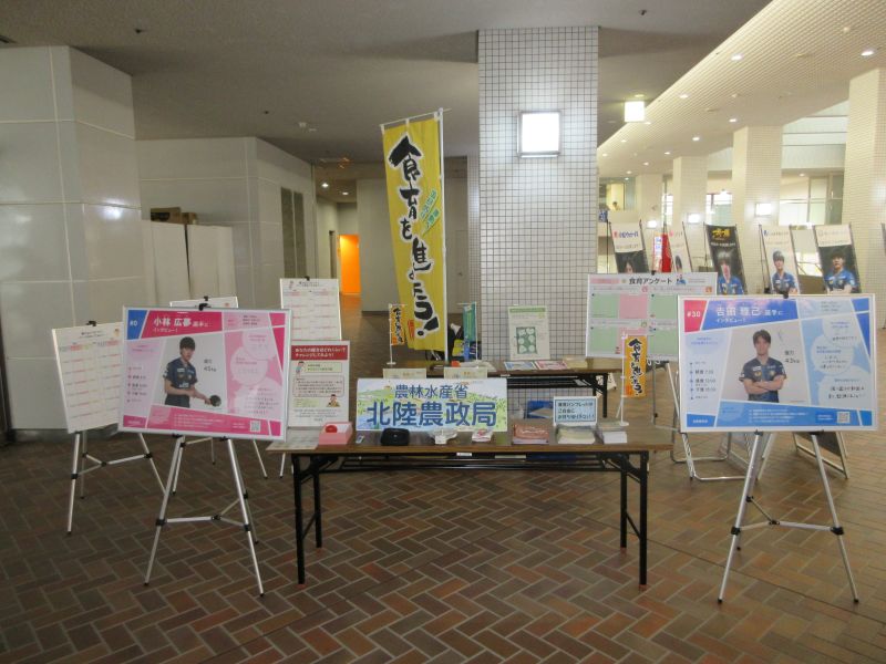 展示内容