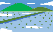 水田のイラスト